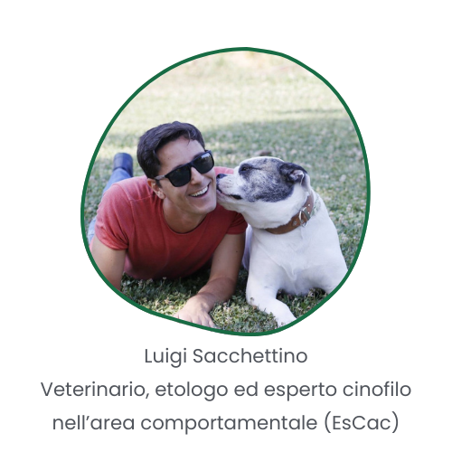 Dottor Luigi Sacchettino Veterinario Comportamentalista ed Etologo (3)