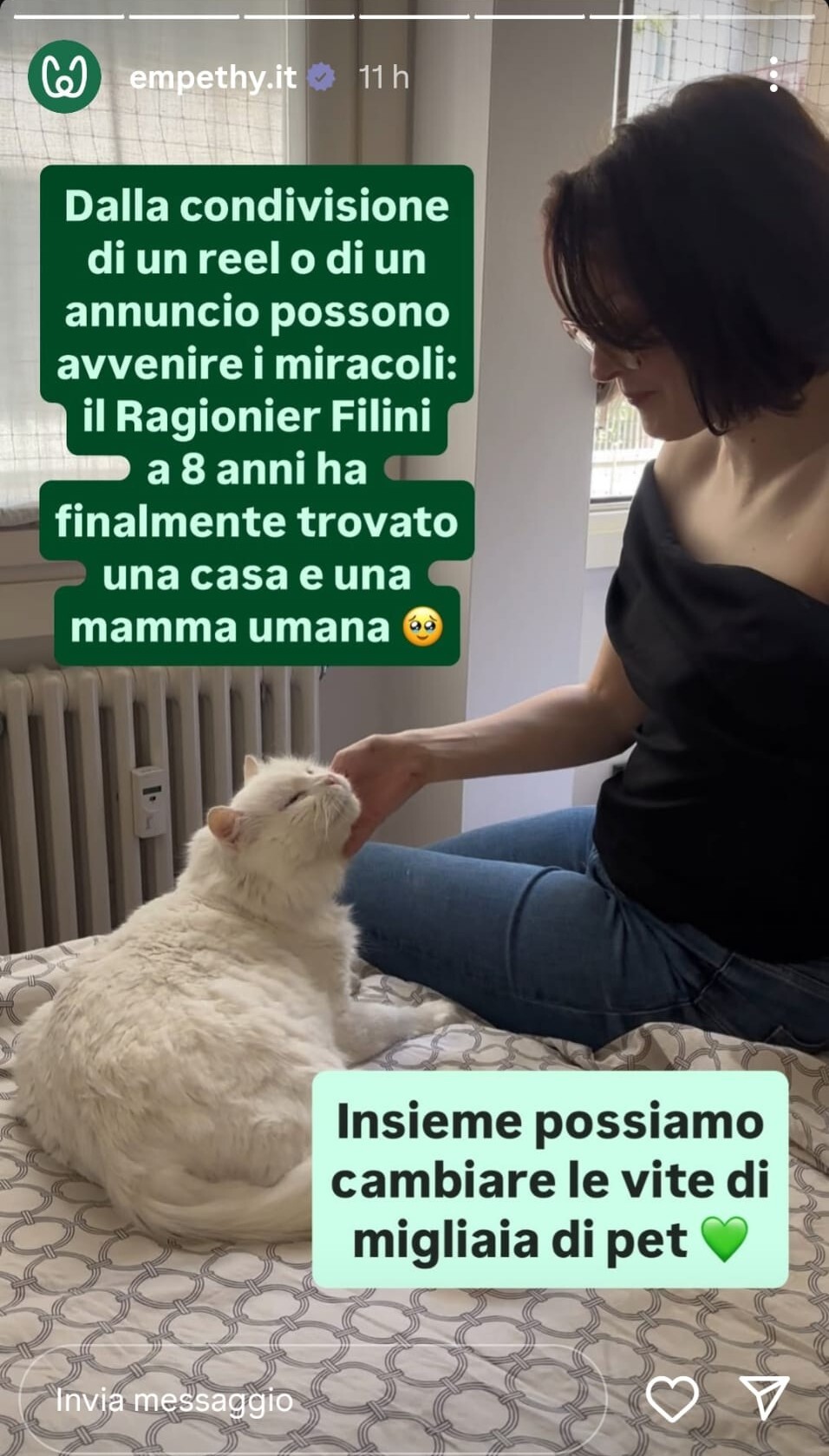 Immagine WhatsApp 2025-06-04 ore 22.58.53_6347f1b4