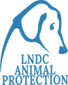 lndcap-dark.9a73859a